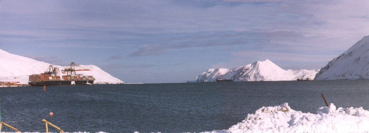 Iliuliuk Bay with the APL dock